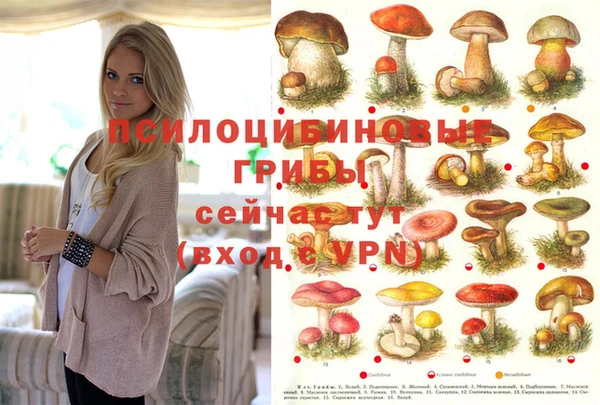 героин Осинники